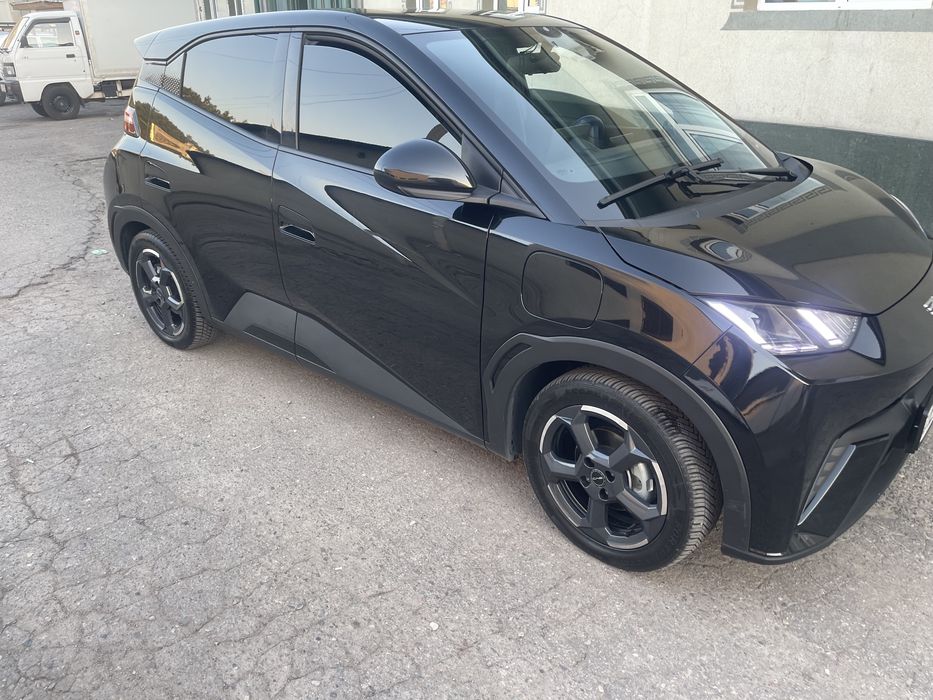 Биваеди Сигл 2023. Ел холати зўр