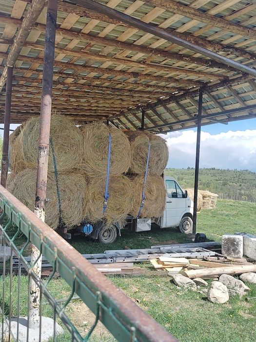 Baloti de fan de vanzare