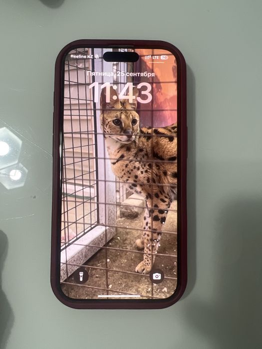 Iphone 15pro 256gb 93%
