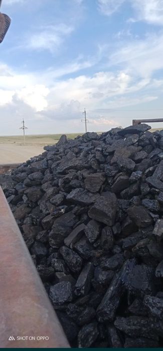 Уголь Шубарколь орех, сорт.