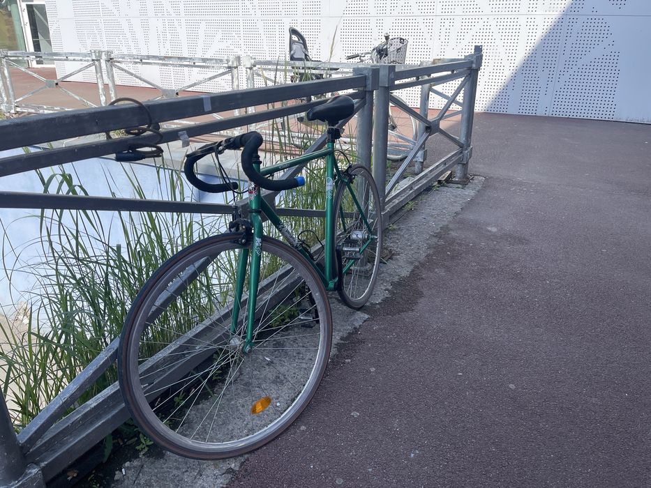 Bicicleta Pegas single