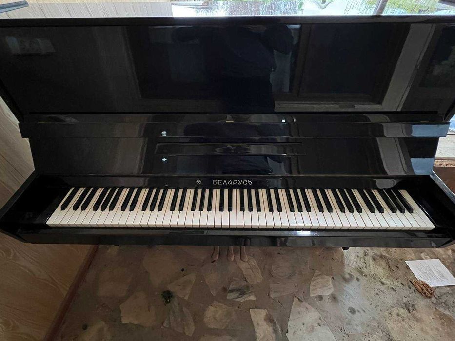 pionino Belarus tashkent