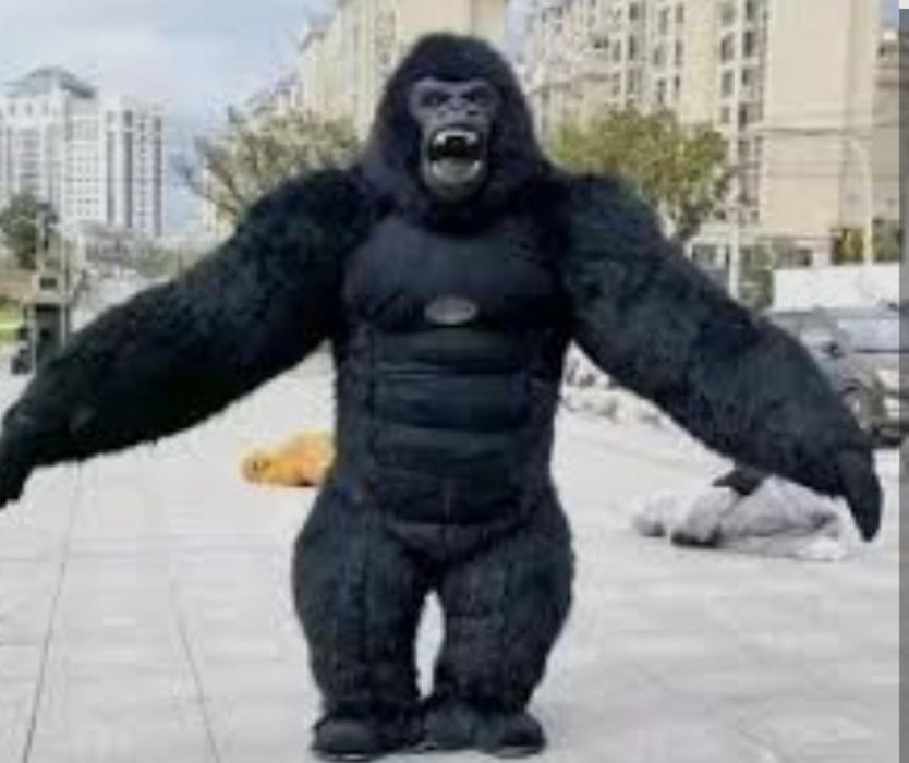 Продаётся кастюм Кинг Конгга