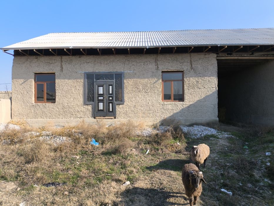 ЖАЛОИР 6-болим 8 сотих