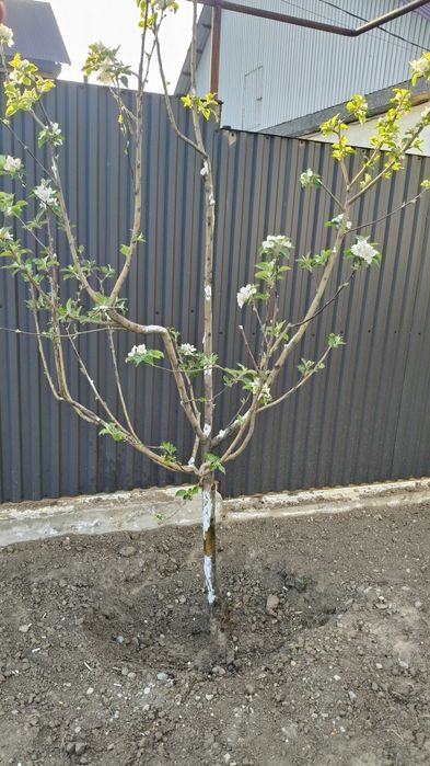 Дом 5 комнат 117м²