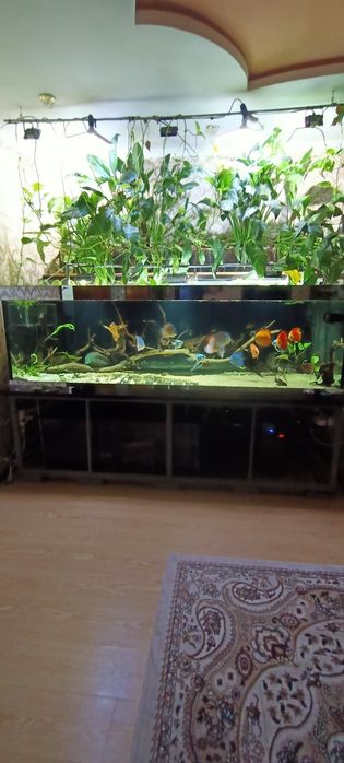 Продам аквариум 1600л.