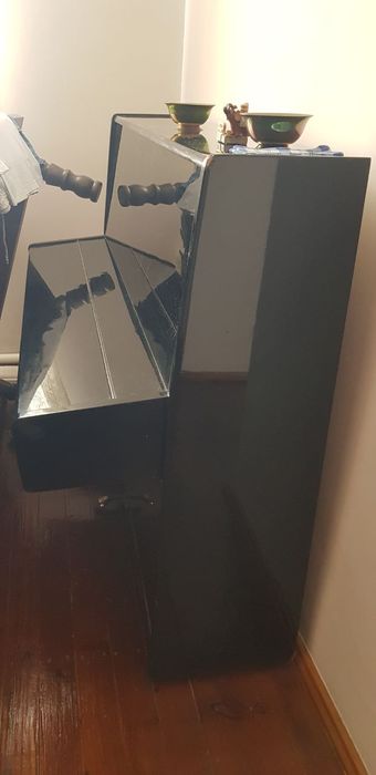 Продам своё пианино, Ласточка