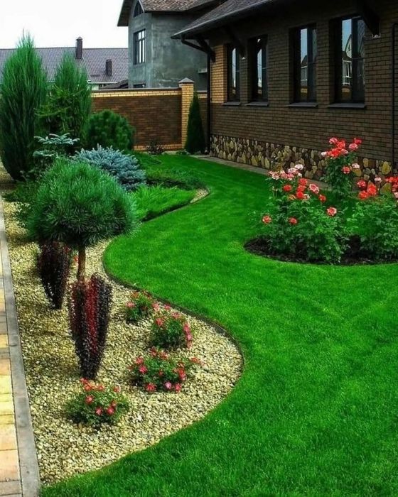 Посевной рулонный газон