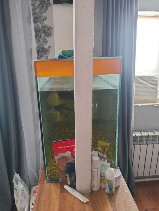 Аквариум сатылады