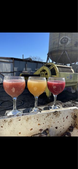 Vand must de calitate,prosus acasă,usor inasprit