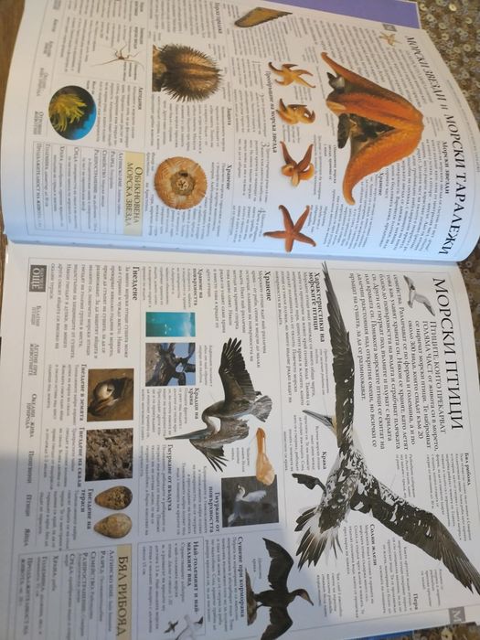 Илюстрована Семейна енциклопедия