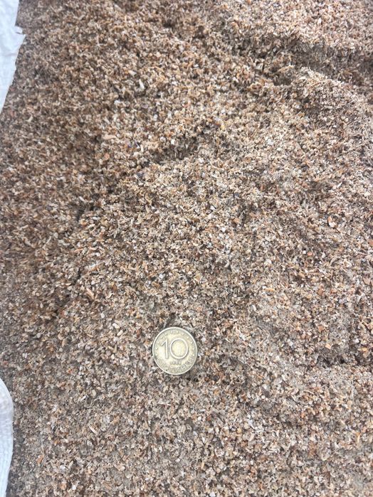 Смлени черупки от рапани