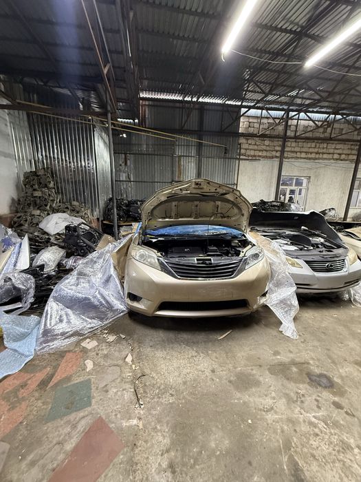 Сиенна авторазбор морда