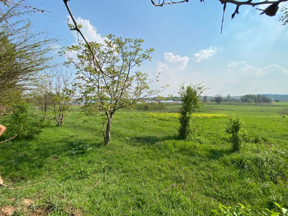 Недвижимость земли