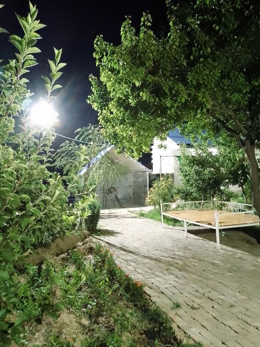 Dacha yangi hayot