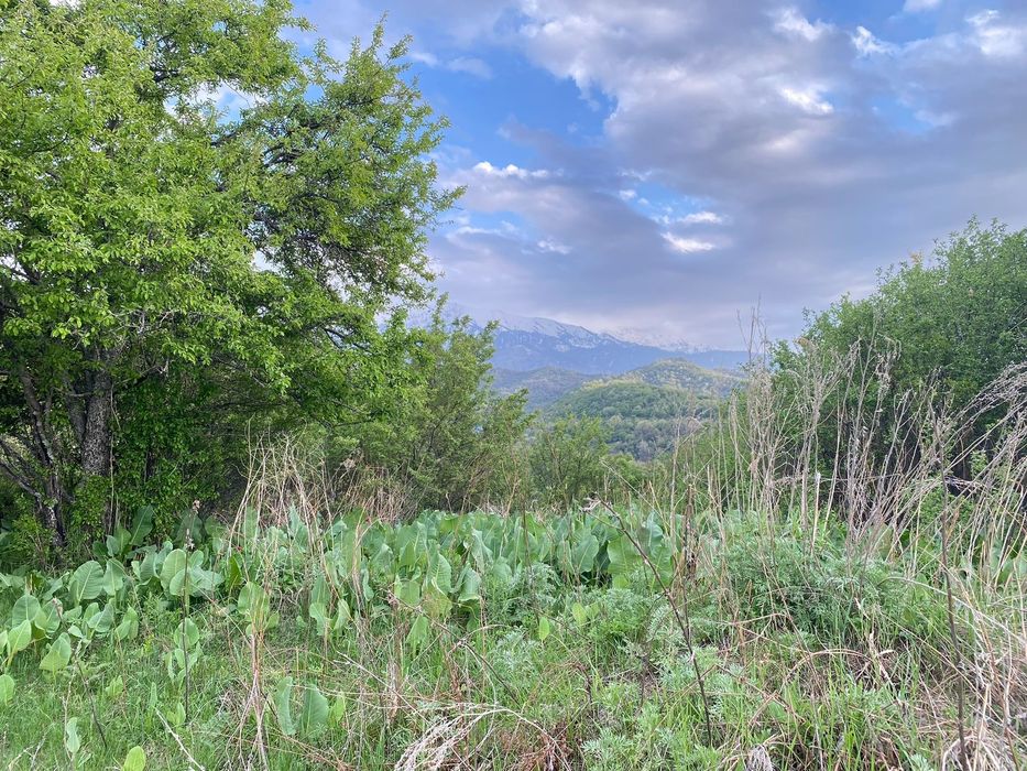 Продам участок 1Га.