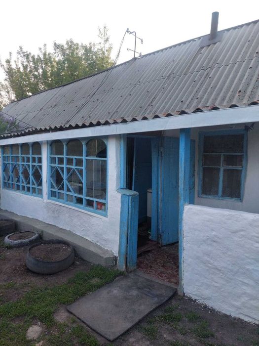 Домик посуточно в Баянауле , возле Леса