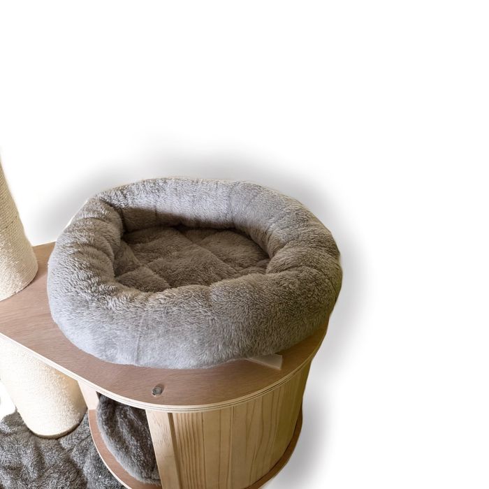 Голяма котешка катерушка - Мейн Куун