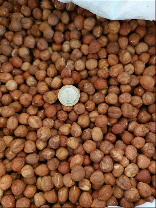 Сурови ядки - бадеми, орехи, лешници