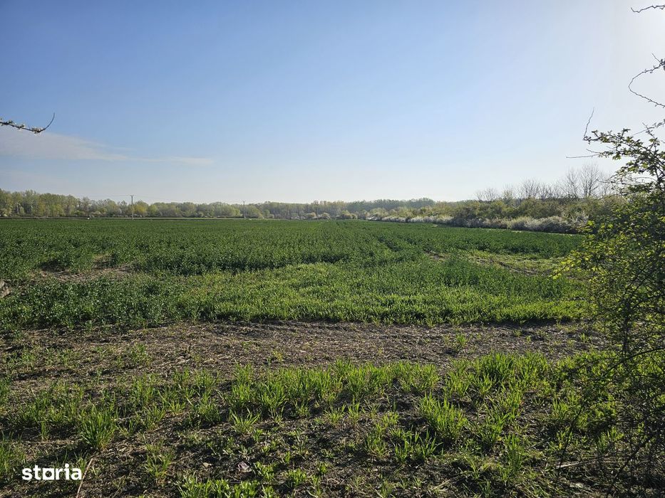 10.100Mp Teren Construcții Intravilan Potigrafu, Deschidere 31M La Dn1