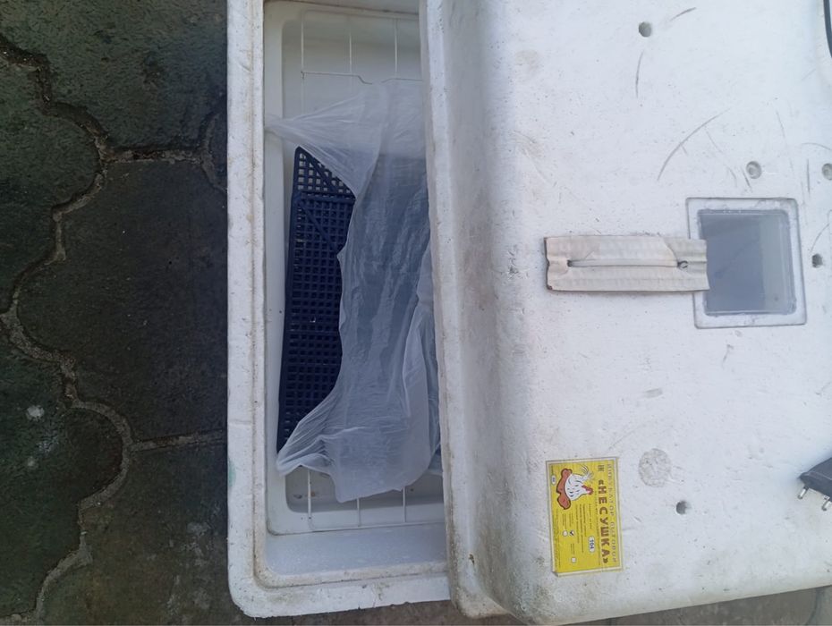 инкубатор для цыплят