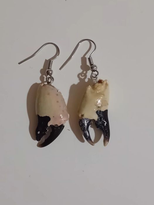 Обици от морски щипки и стъклени синци