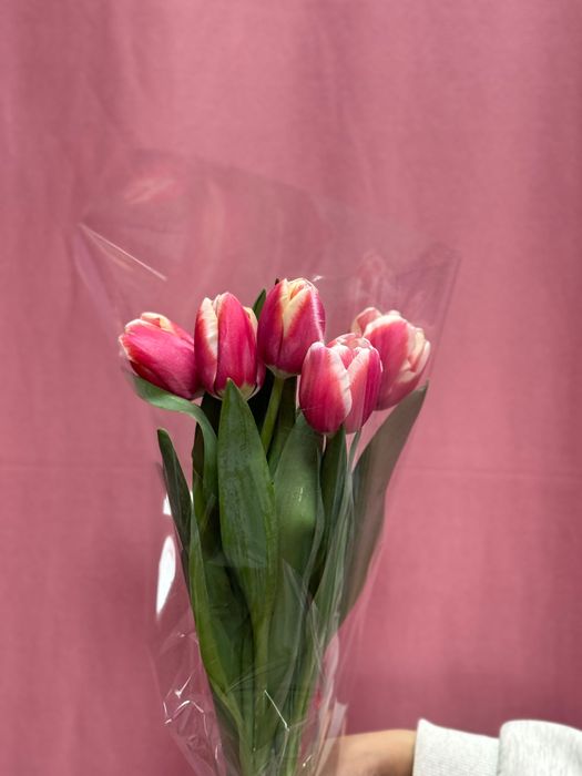 ТЮЛЬПАНЫ ПО 700 тенге!!!