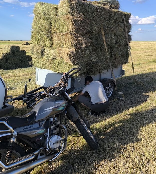 Продам сена в квадратных тюках