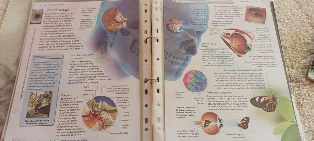 5 нижки енциклопедии за деца