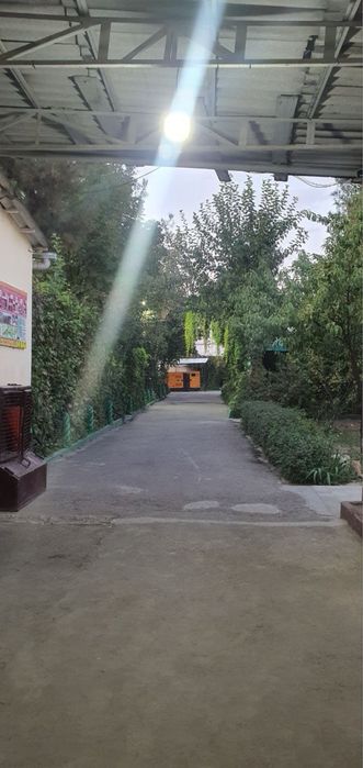 Земля 30 соток Кара камыш сзади птица базара.