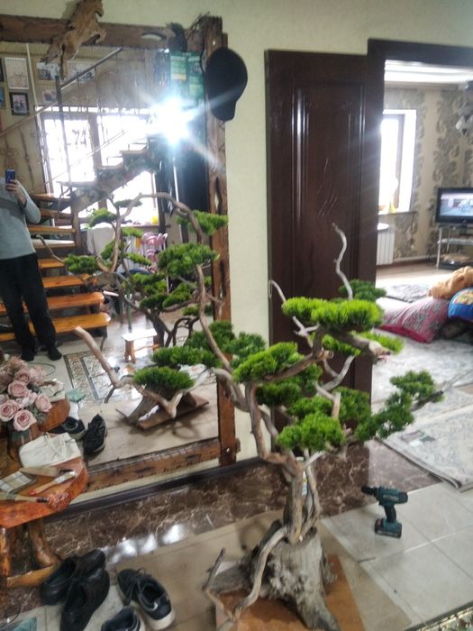 Бонсай ручная работа