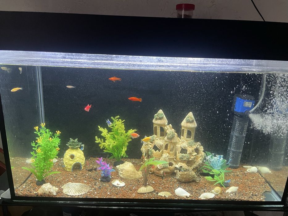 Аквариум сатылымда балыктарынмен полный