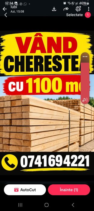 Cherestea de rășinoase Iași calitate