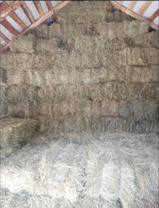 Baloti lucerna, fan, paie