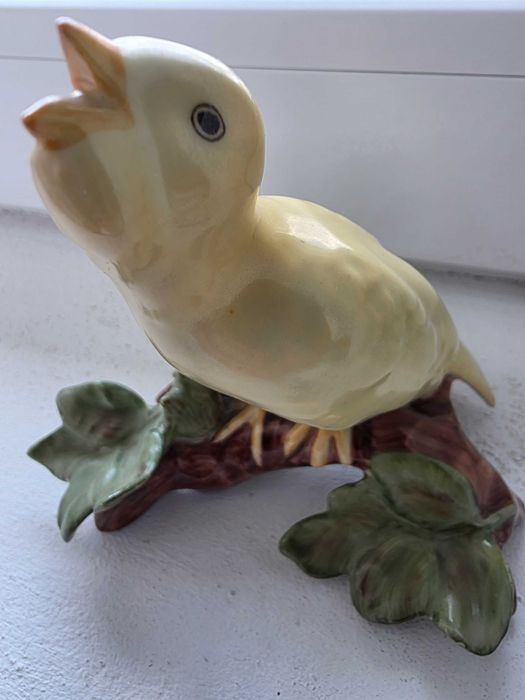 Bibelou Extra Iris Canar cantand