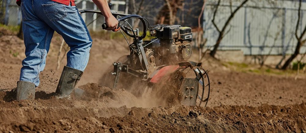 Вспышка огородов