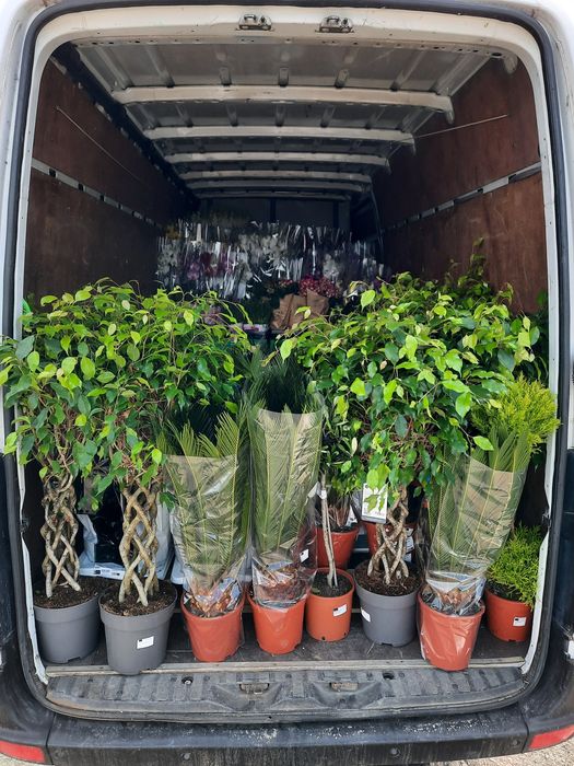 ‼️Tractări auto/Transport marfă‼️Mutări mobilă/Animale/Autoplatforma‼️