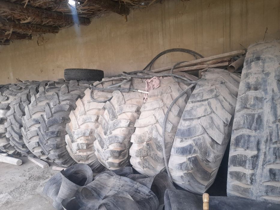 МУАЗ.БАЛОН.СОТИЛАДИ.КА.701.КУЙСА.ХАМ.БУЛАДИ.муазники.сикрепир.ларники