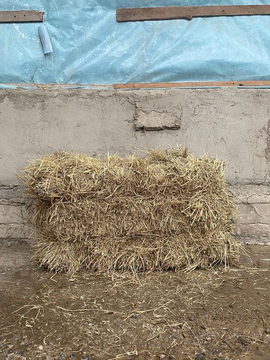 Шөп, шөп  табиғи