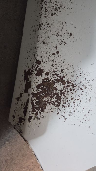 Aripi față Dacia 1300