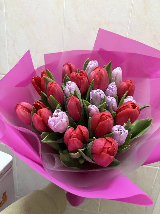 Свежие тюльпаны в идеальном состоянии 25 шт
