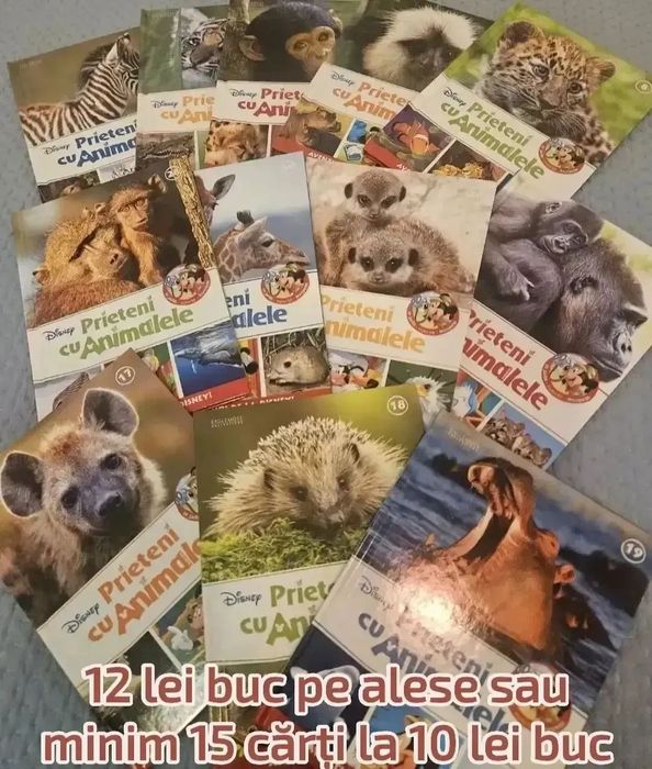 Carti Disney,Franklin,Dog Man,Jurnalul unui pusti și cărți Craciun