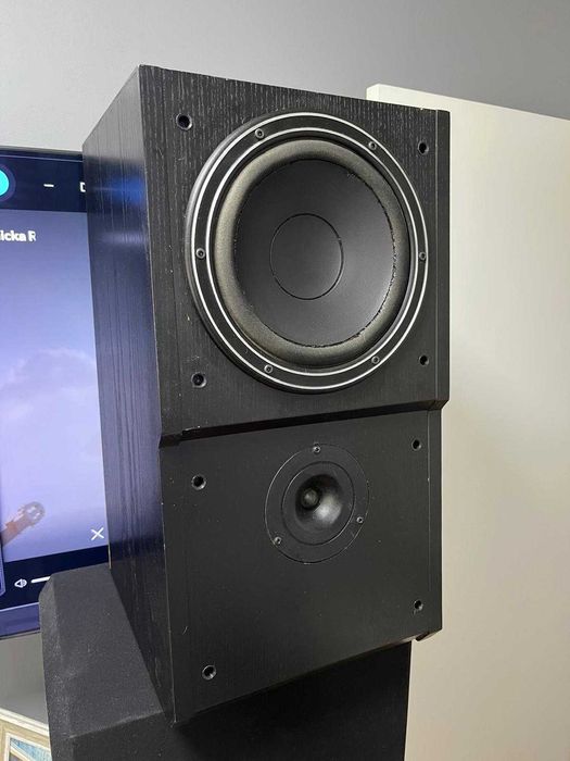 Boxe Dynaudio MSP100