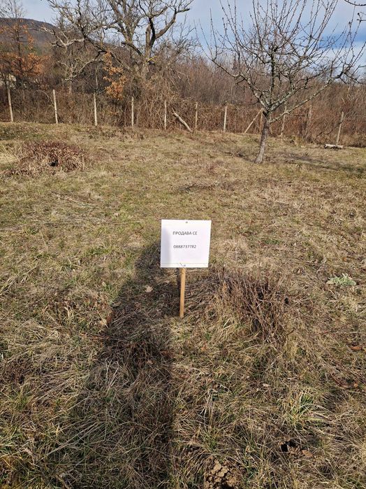 Имот в с.Очуша за вила, къща илиовощна градина