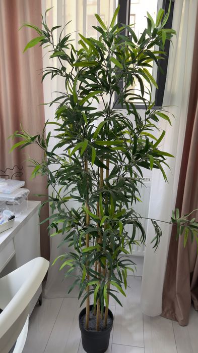 Masă manichiură, produse unghii, comodă, doua fotolii plus o floare decorativă