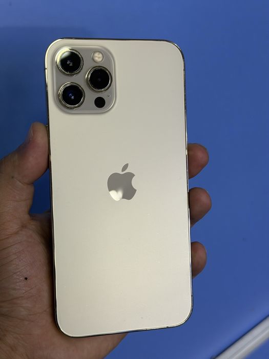 iphone 12 pro max