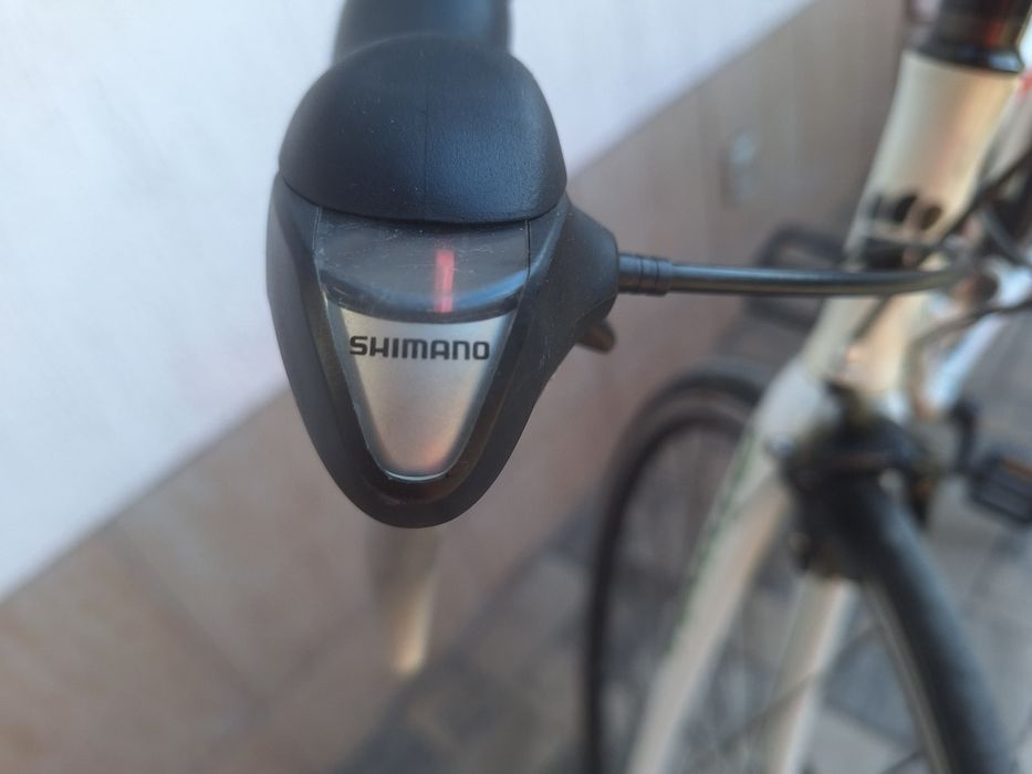 Semicursiera Mudyfox race 100