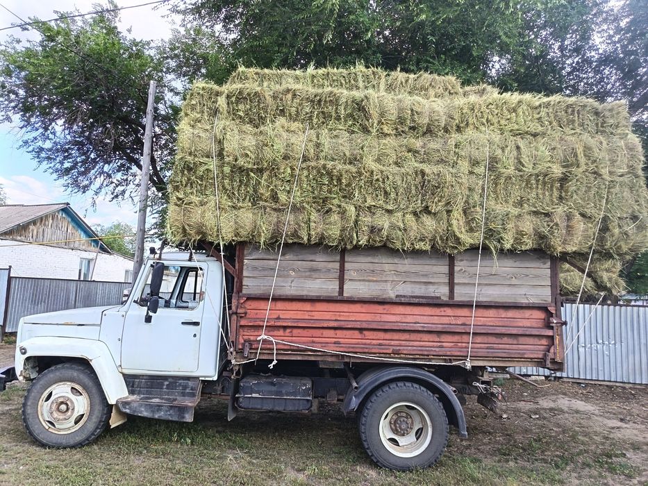 Тюковой Шөп (Сено) сатылады