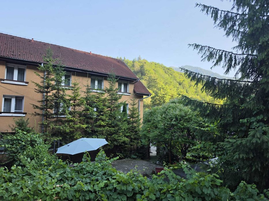 Motel - Pensiune Brasov - Timisul de Jos (DN1)