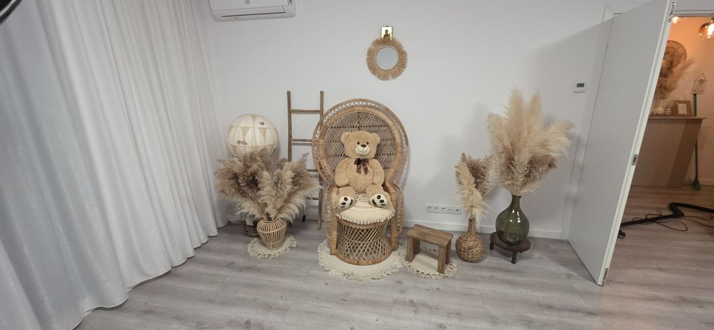 Fotoliu ratan model deosebit